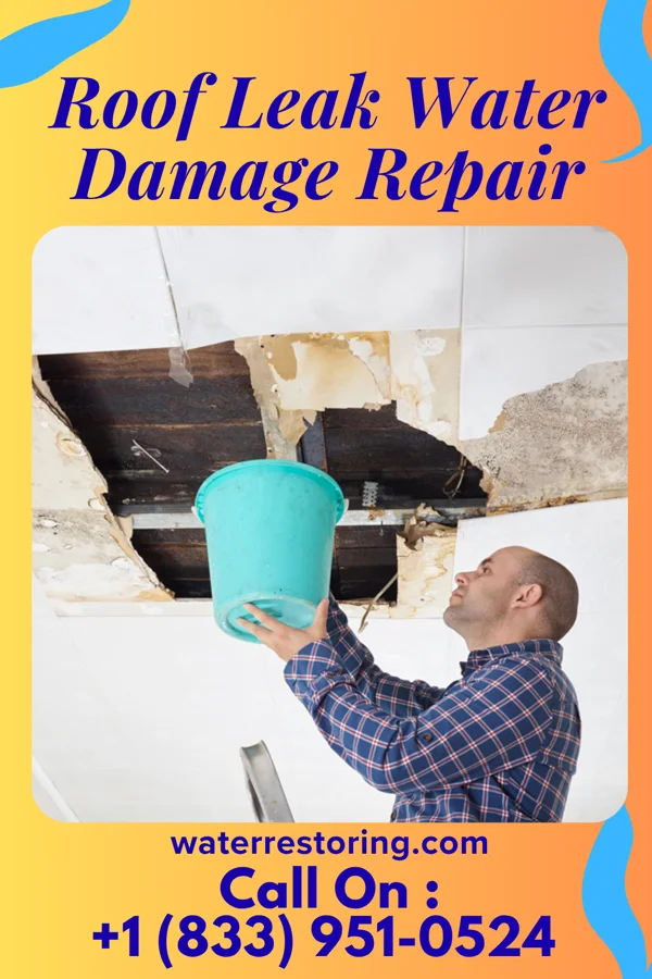 Roof Leak Water Damage Repair in Newport, MN